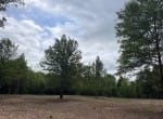 3 acres in Red River County