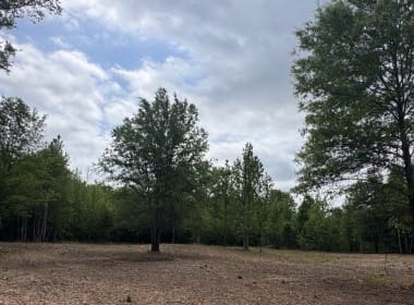 3 acres in Red River County