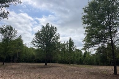 3 acres in Red River County