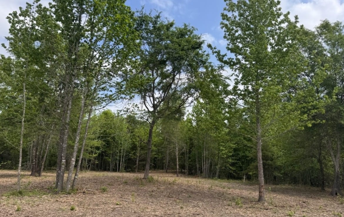 3 acres in Red River County