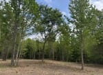 3 acres in Red River County