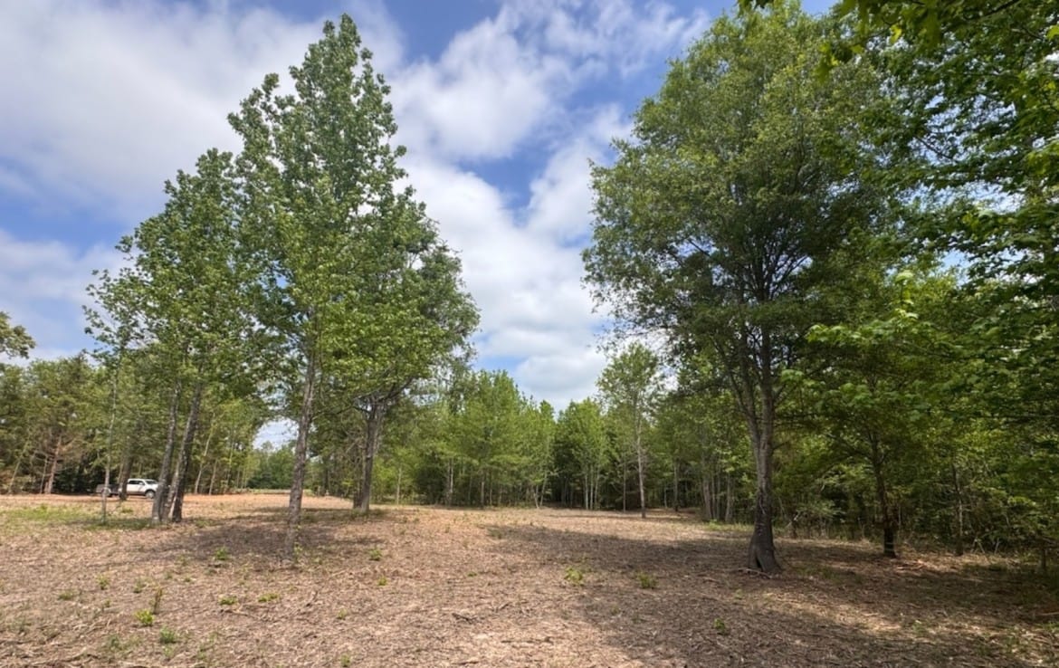 3 acres in Red River County