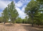 3 acres in Red River County