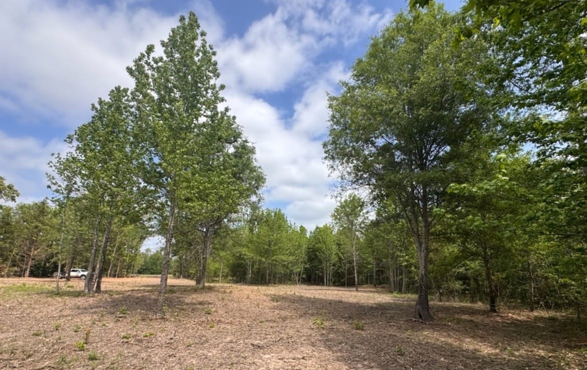 3 acres in Red River County