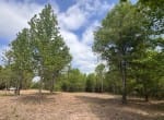 3 acres in Red River County