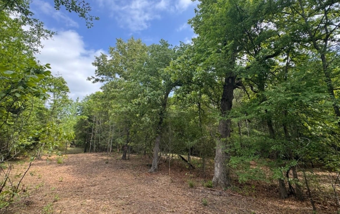 3 acres in Red River County