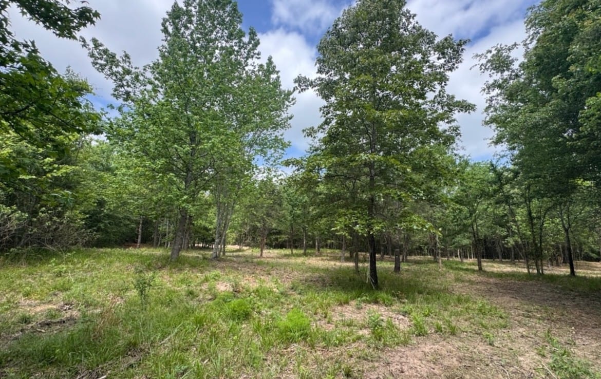 3 acres in Red River County