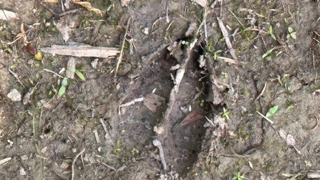 5 acres in Red River County