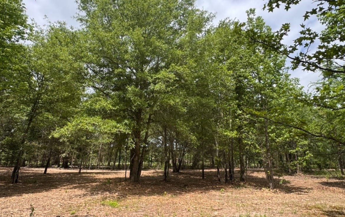 3 acres in Red River County