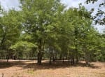 3 acres in Red River County