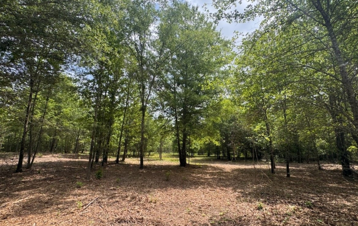 3 acres in Red River County