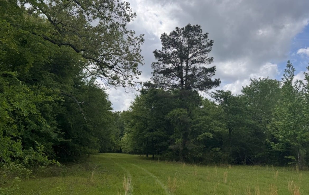 7 acres in Red River County