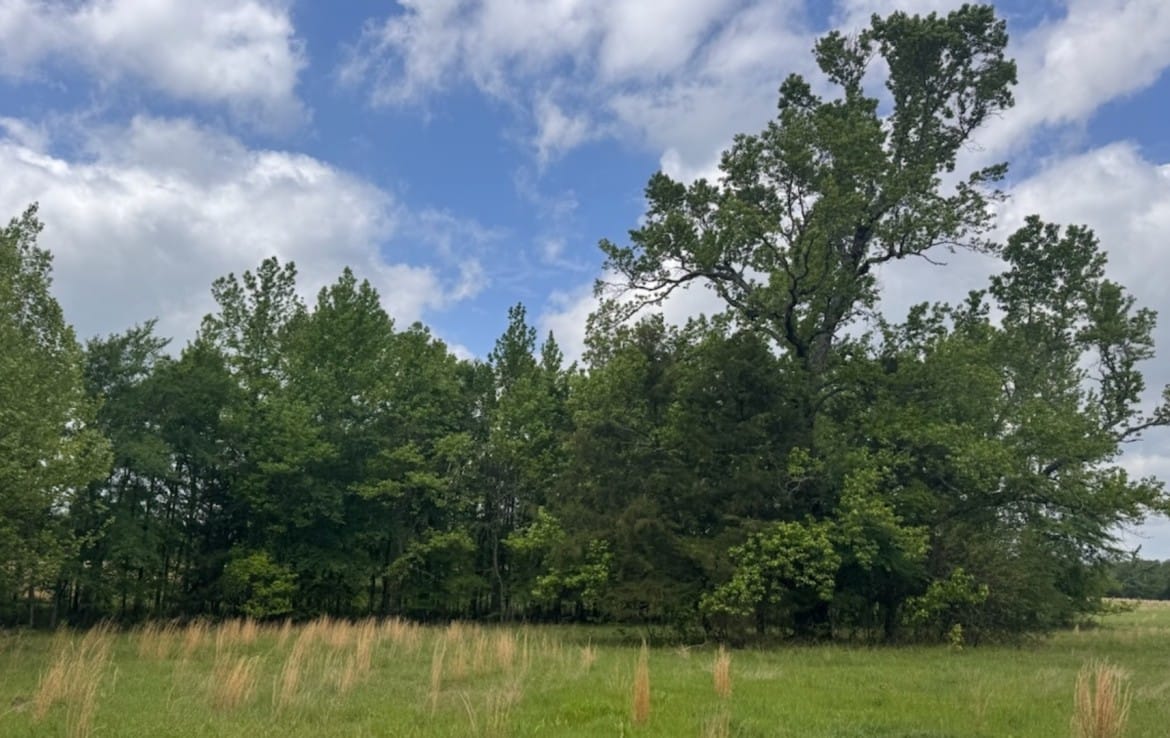 10 acres in Red River County