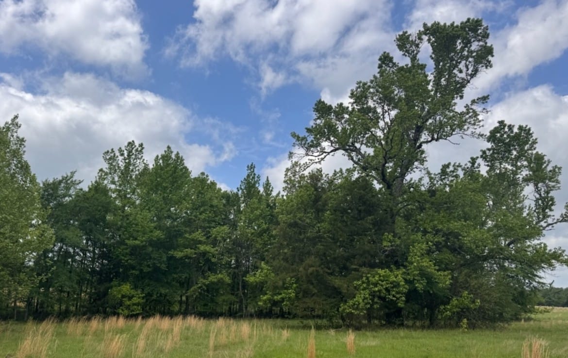 7 acres in Red River County