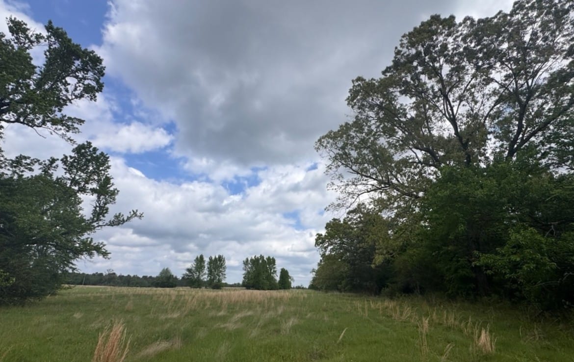 7 acres in Red River County