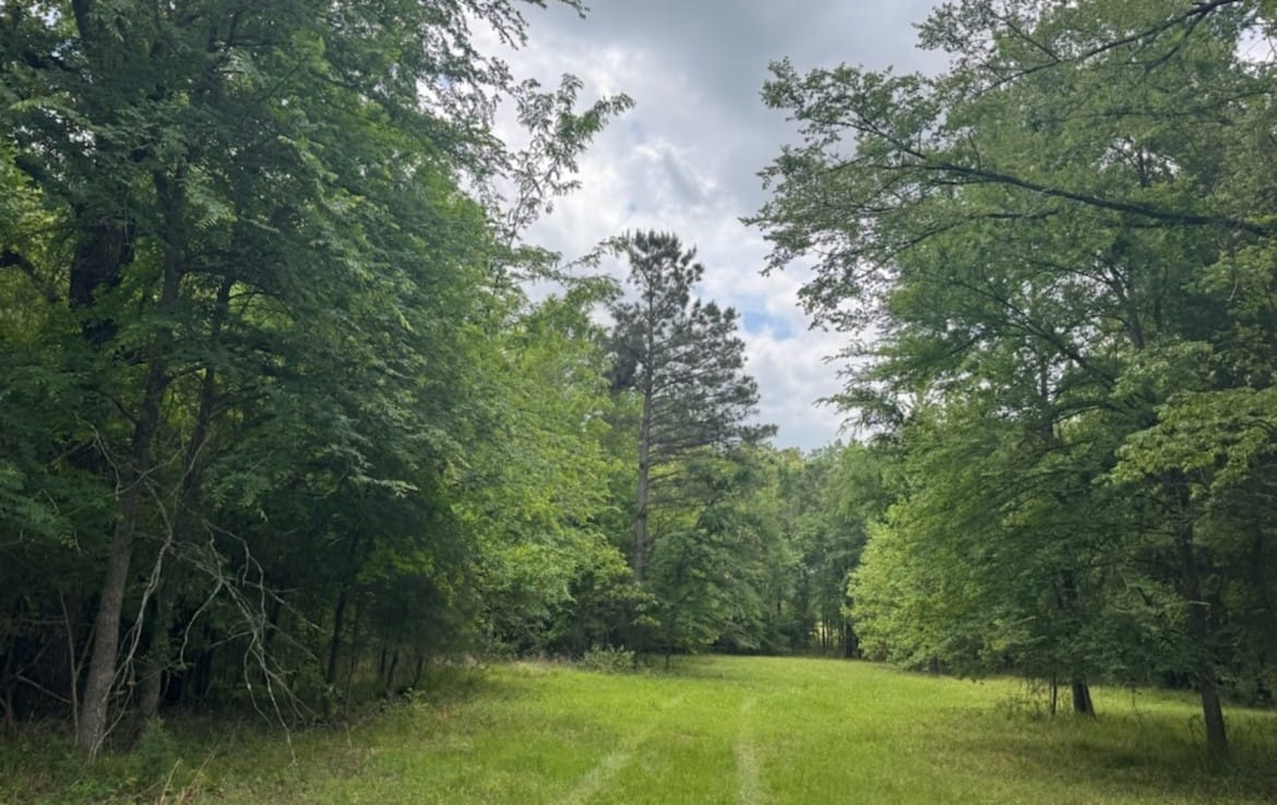 7 acres in Red River County