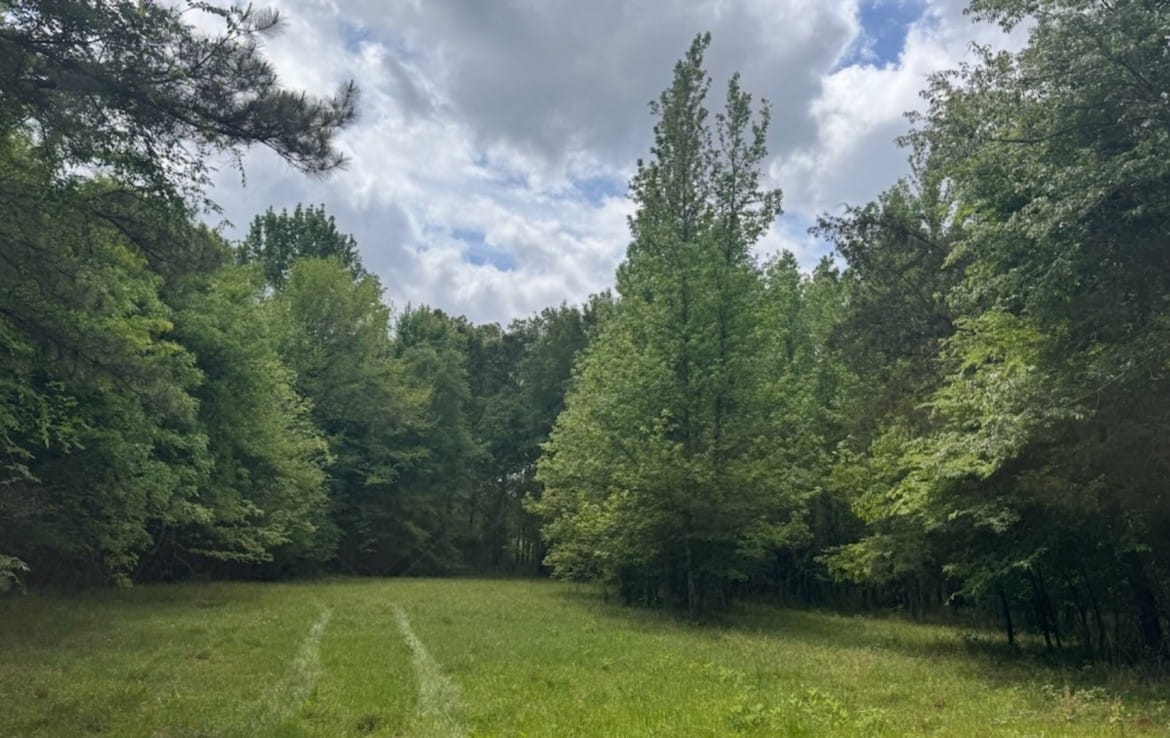 7 acres in Red River County