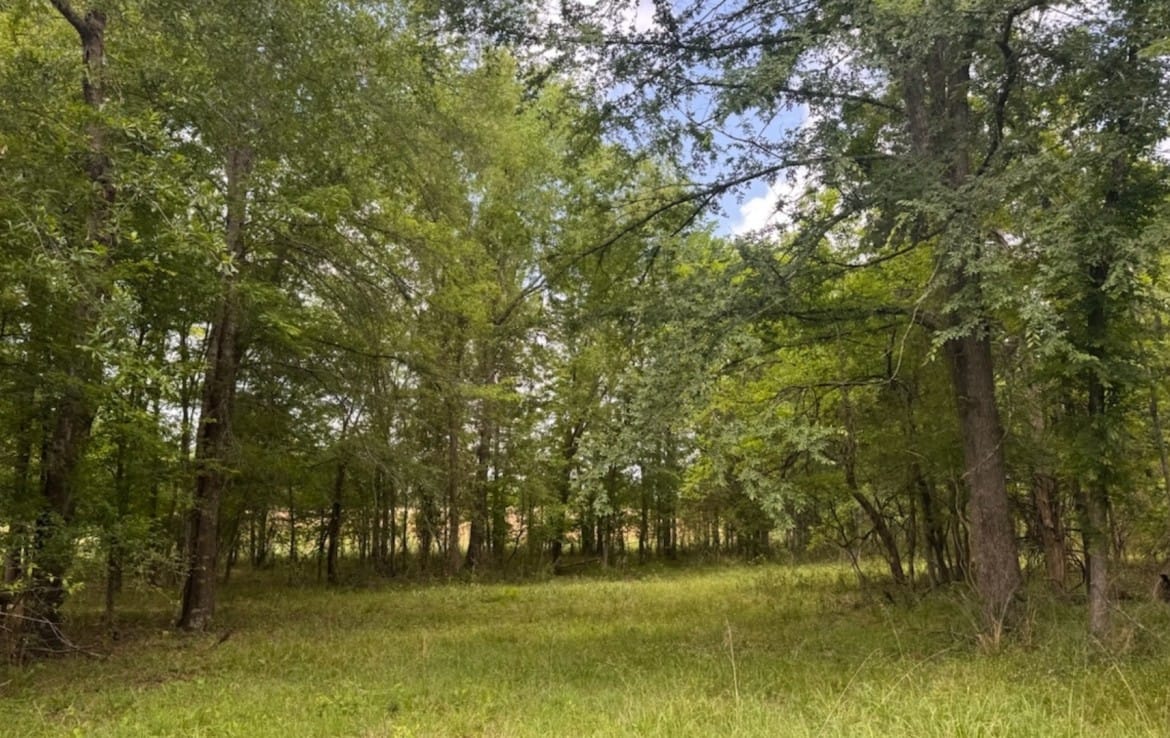 10 acres in Red River County