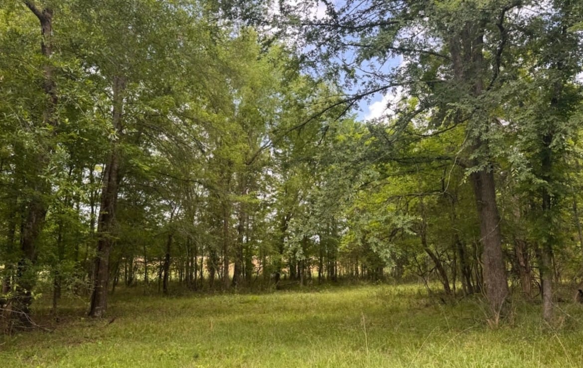 7 acres in Red River County
