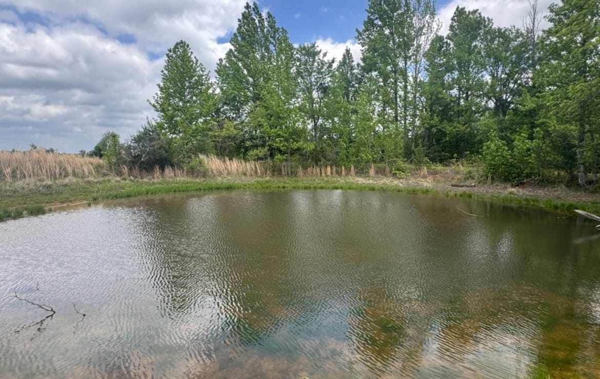 7 acres in Red River County