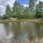 7 acres in Red River County