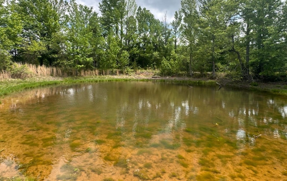 10 acres in Red River County