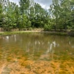 10 acres in Red River County