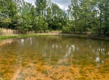 10 acres in Red River County