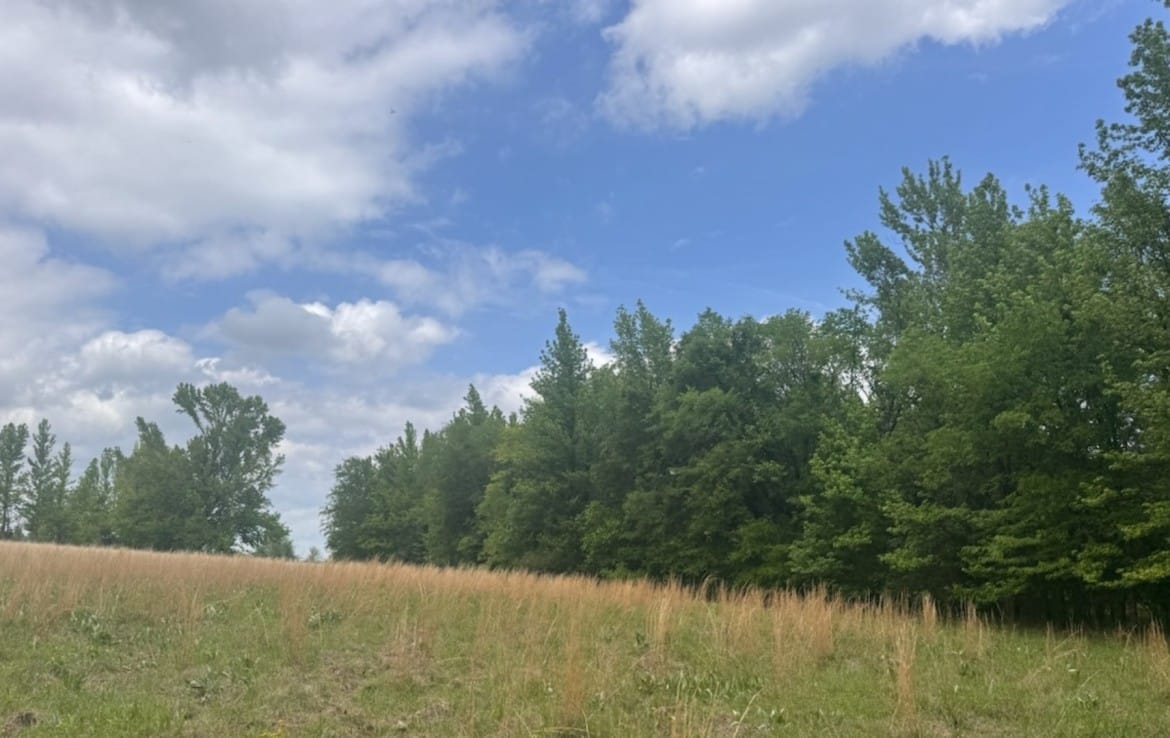 10 acres in Red River County