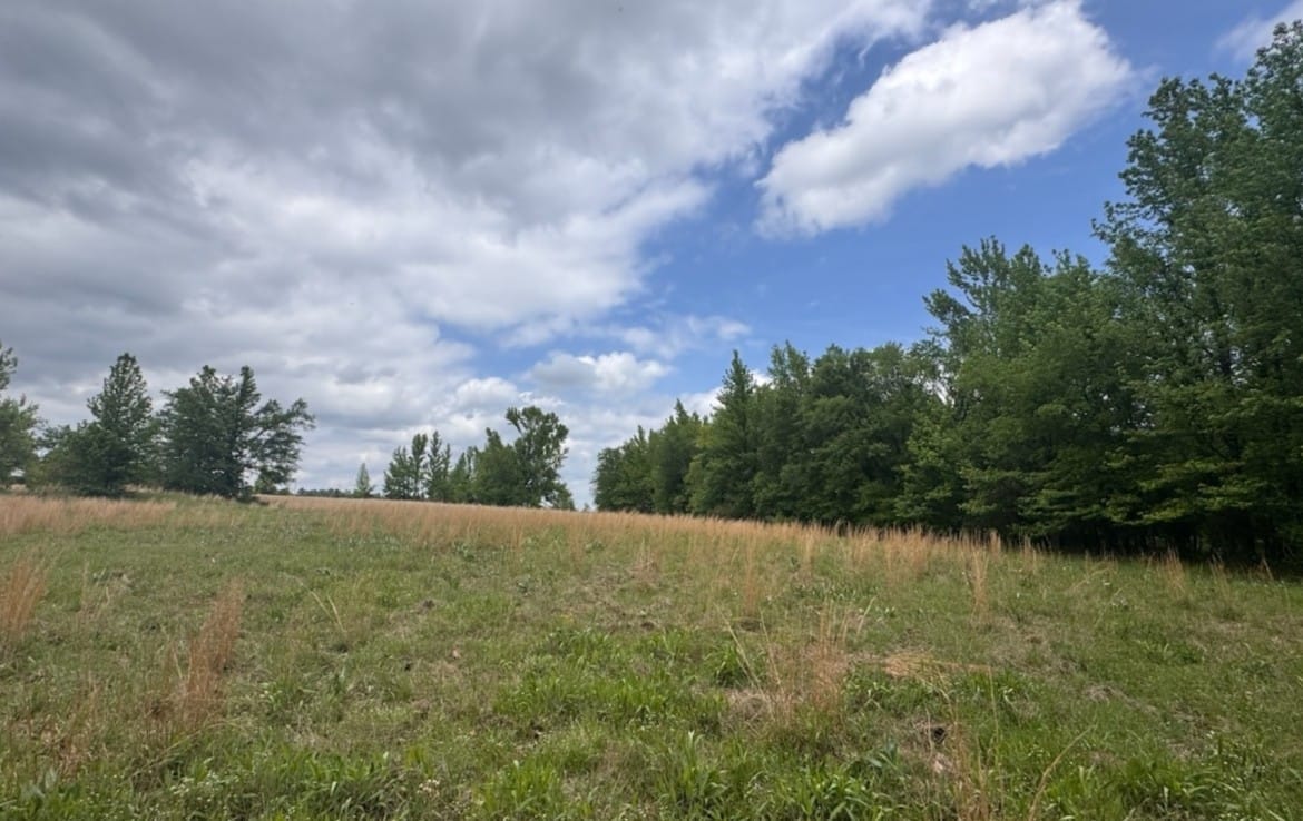 10 acres in Red River County