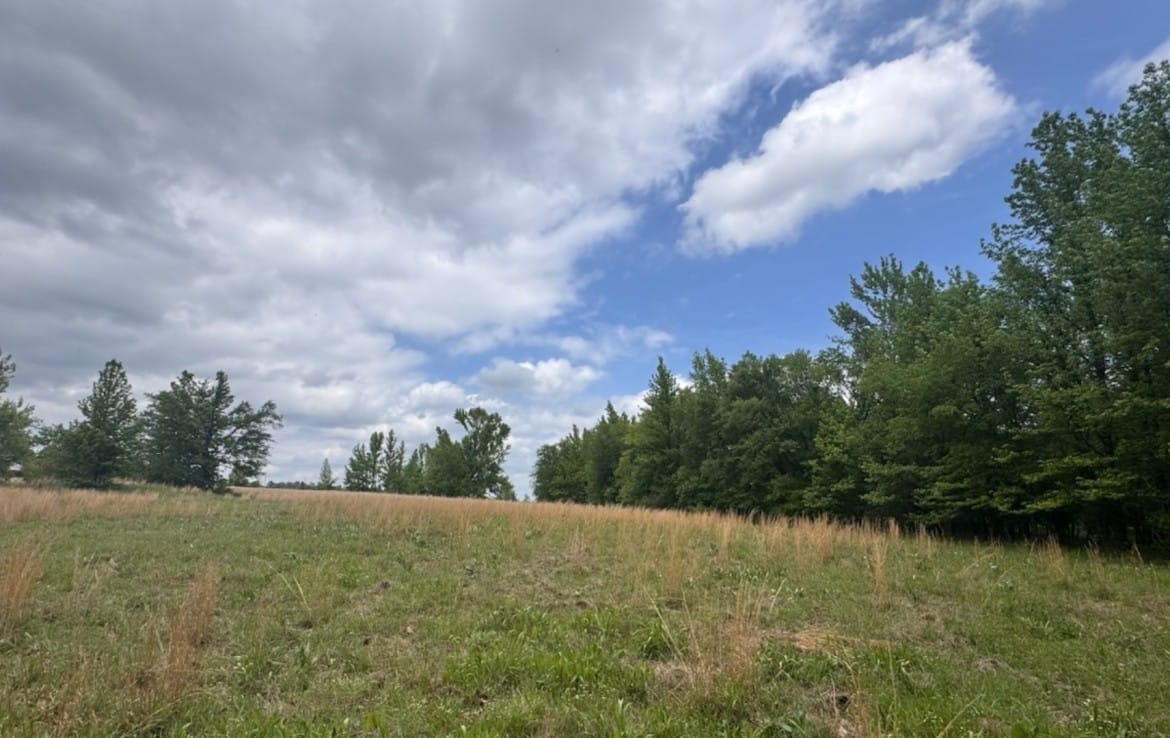 7 acres in Red River County