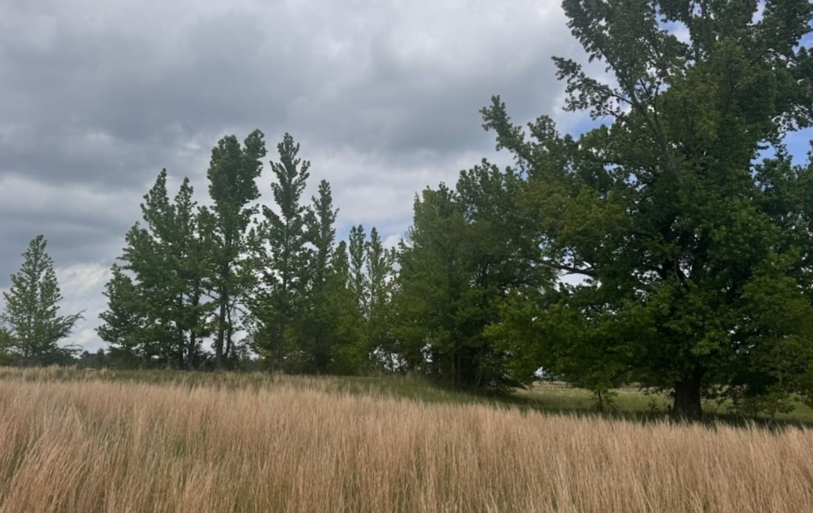 10 acres in Red River County