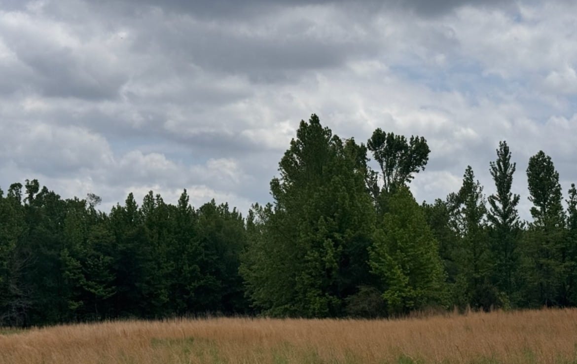 10 acres in Red River County