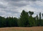 10 acres in Red River County