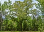 521 acres in Cass County