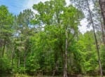 521 acres in Cass County
