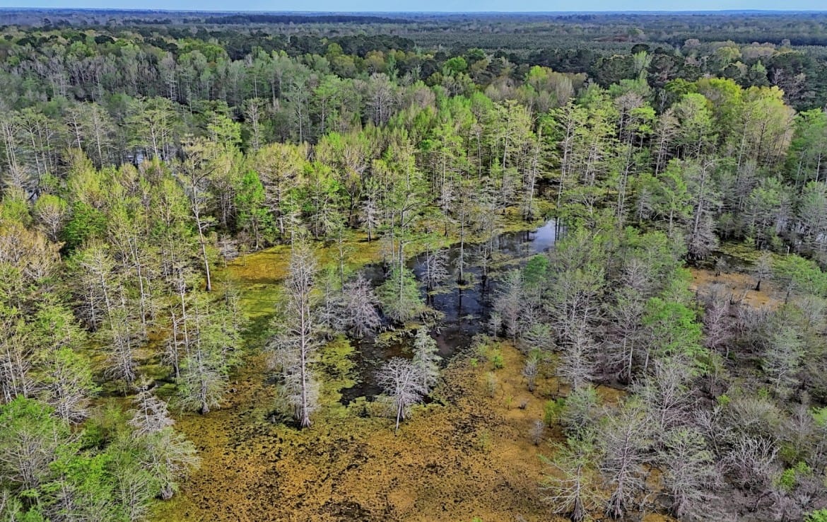 712 acres in Panola County