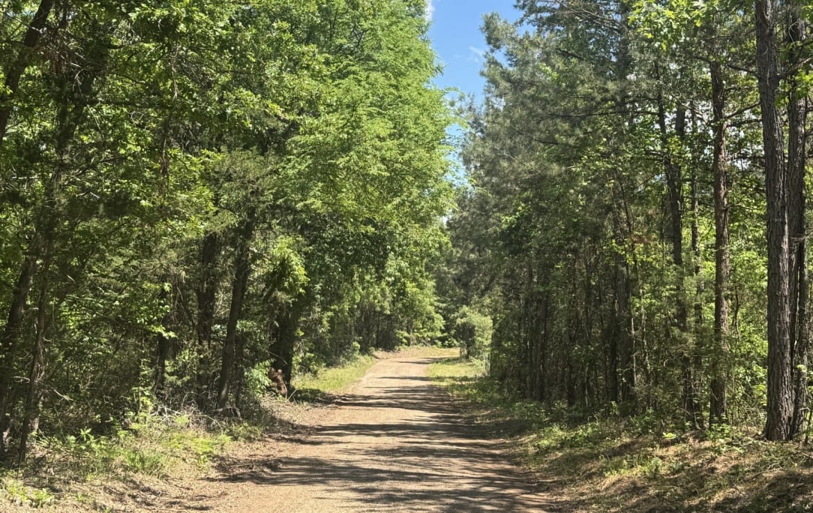 262 acres in Cass County