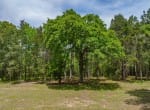 521 acres in Cass County