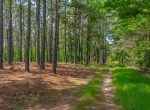 521 acres in Cass County