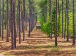 521 acres in Cass County