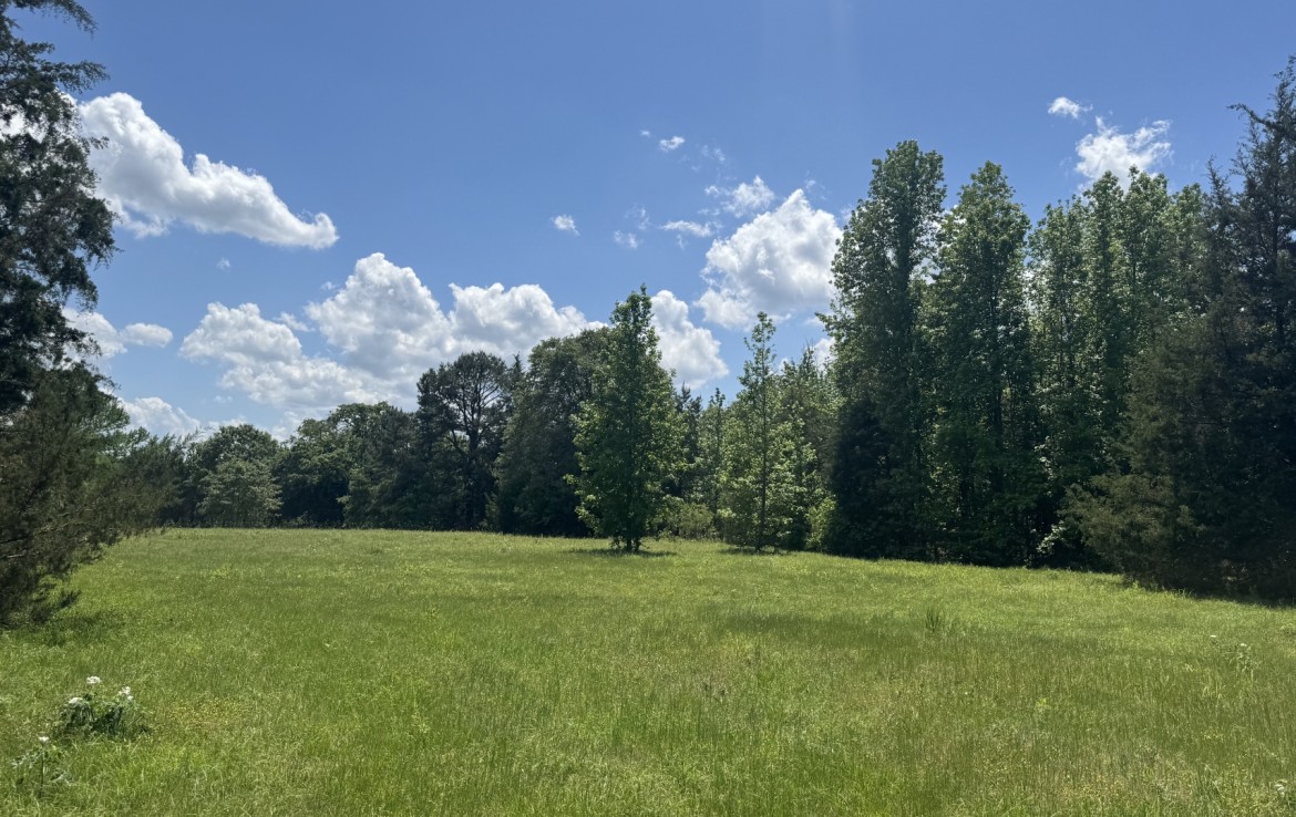 262 acres in Cass County