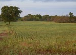 435 acres in Clay County