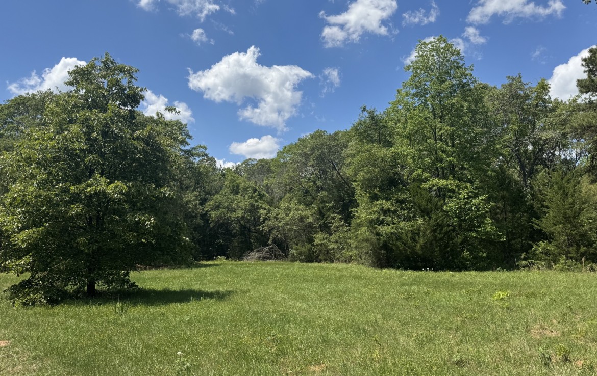 262 acres in Cass County