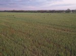 435 acres in Clay County