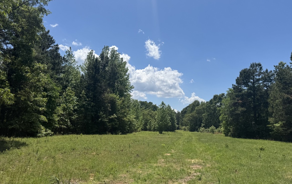 262 acres in Cass County