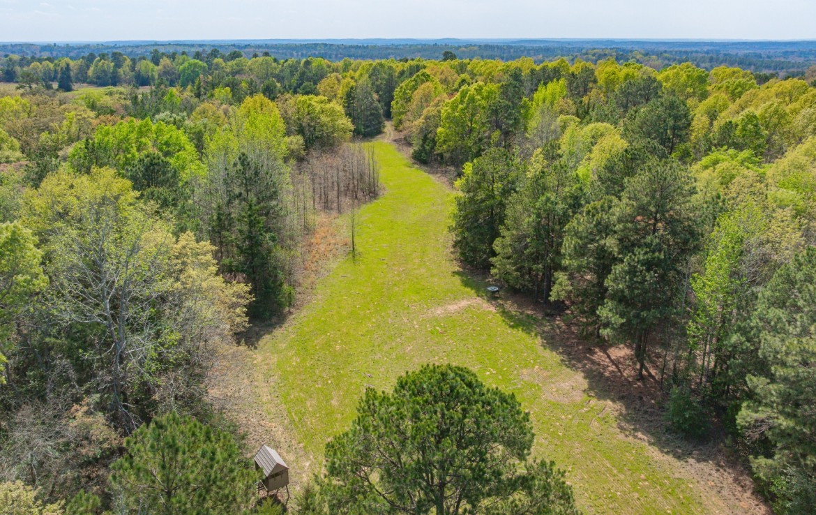 262 acres in Cass County