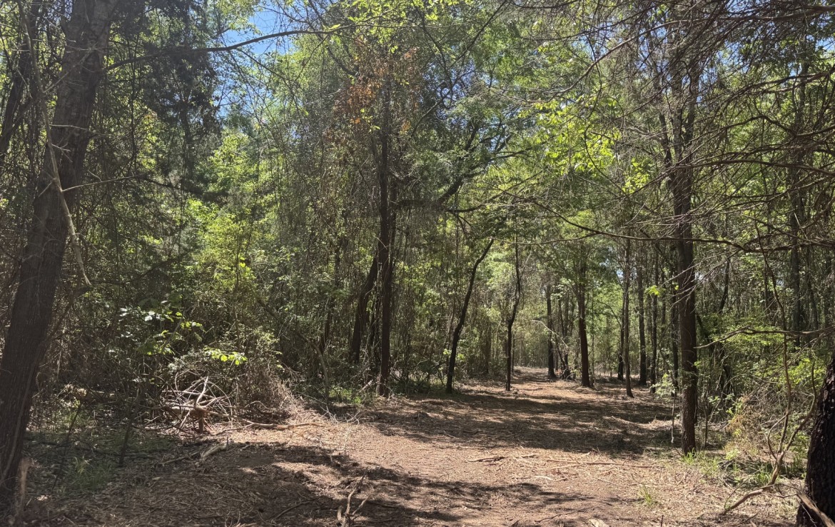 262 acres in Cass County