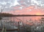 712 acres in Panola County