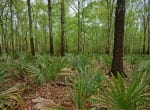 712 acres in Panola County